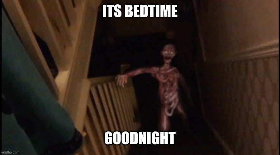 go sleep | ITS BEDTIME; GOODNIGHT | image tagged in scary | made w/ Imgflip meme maker