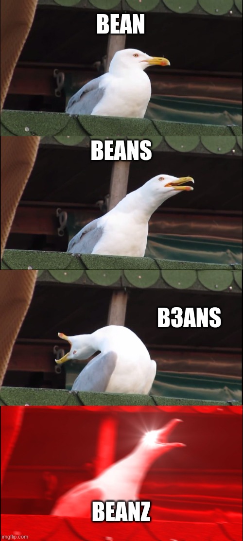 beanz | BEAN; BEANS; B3ANS; BEANZ | image tagged in memes,inhaling seagull | made w/ Imgflip meme maker