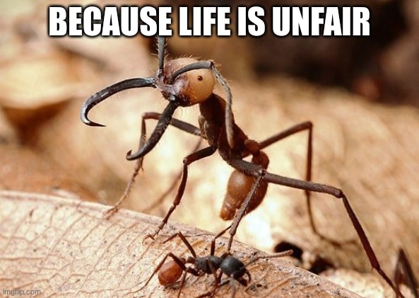 because life is fair | BECAUSE LIFE IS UNFAIR | image tagged in because life is fair | made w/ Imgflip meme maker