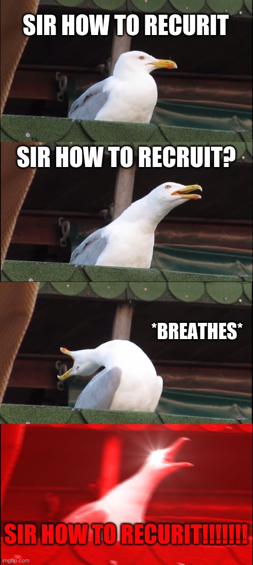 How to recruit | SIR HOW TO RECURIT; SIR HOW TO RECRUIT? *BREATHES*; SIR HOW TO RECURIT!!!!!!! | image tagged in memes,inhaling seagull | made w/ Imgflip meme maker