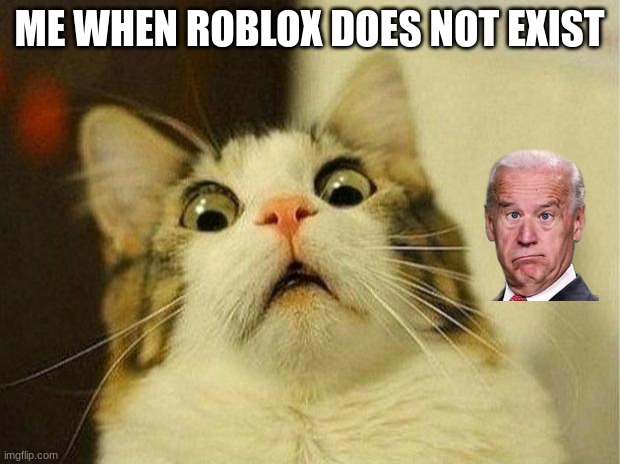 cats be like | ME WHEN ROBLOX DOES NOT EXIST | image tagged in memes,scared cat | made w/ Imgflip meme maker