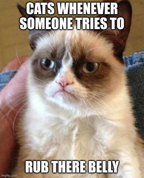 cats in a nutshell | CATS WHENEVER SOMEONE TRIES TO; RUB THERE BELLY | image tagged in memes,grumpy cat,cats,funny,funny memes,funny cat memes | made w/ Imgflip meme maker