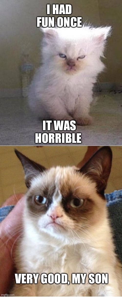 Meow | I HAD FUN ONCE; IT WAS HORRIBLE; VERY GOOD, MY SON | image tagged in grumpy cats | made w/ Imgflip meme maker