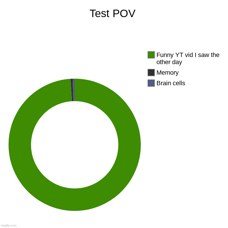 Test POV | Test POV | Brain cells , Memory, Funny YT vid I saw the other day | image tagged in charts,donut charts | made w/ Imgflip chart maker