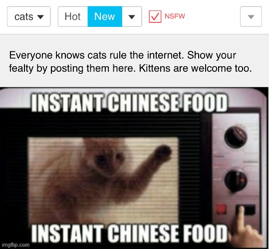 Mod note: This is good | image tagged in instant chinese food | made w/ Imgflip meme maker