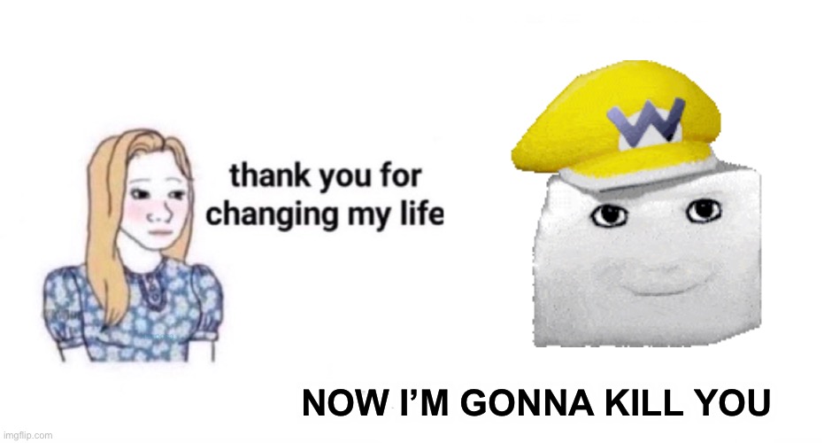 Thank you for Changing my Life | NOW I’M GONNA KILL YOU | image tagged in thank you for changing my life | made w/ Imgflip meme maker