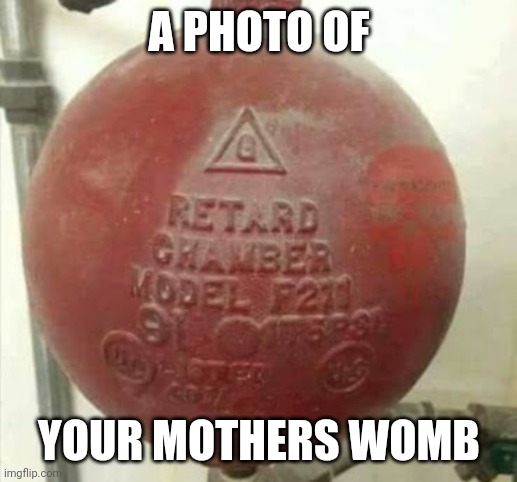 This explains a lot | A PHOTO OF; YOUR MOTHERS WOMB | image tagged in memes,dark humor | made w/ Imgflip meme maker