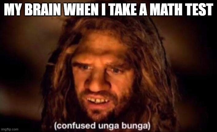 Confused Unga Bunga | MY BRAIN WHEN I TAKE A MATH TEST | image tagged in confused unga bunga | made w/ Imgflip meme maker