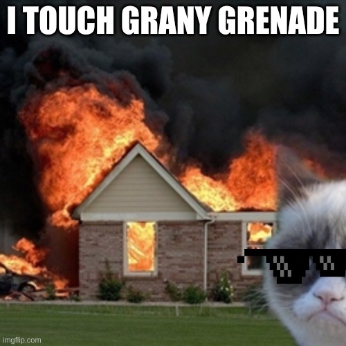 Disaster Grumpy Cat | I TOUCH GRANY GRENADE | image tagged in disaster grumpy cat | made w/ Imgflip meme maker