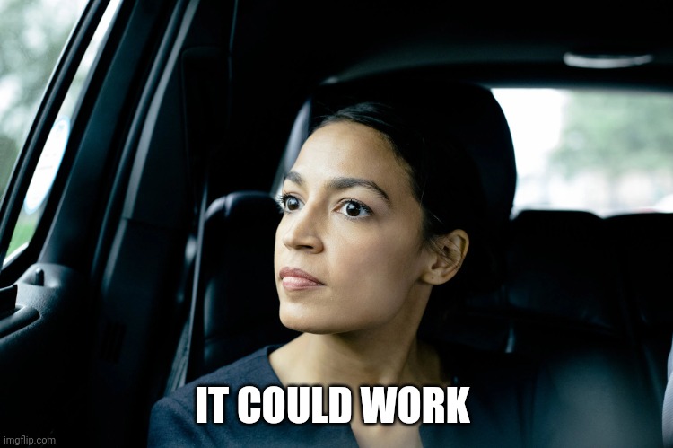 Alexandria Ocasio-Cortez | IT COULD WORK | image tagged in alexandria ocasio-cortez | made w/ Imgflip meme maker