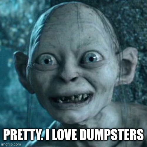 Gollum Meme | PRETTY. I LOVE DUMPSTERS | image tagged in memes,gollum | made w/ Imgflip meme maker