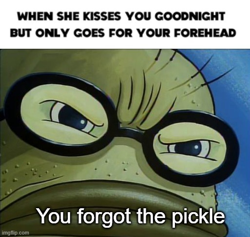 "You forgot the pickle" | You forgot the pickle | image tagged in memes,funny | made w/ Imgflip meme maker