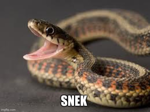 Warning Snake | SNEK | image tagged in warning snake | made w/ Imgflip meme maker