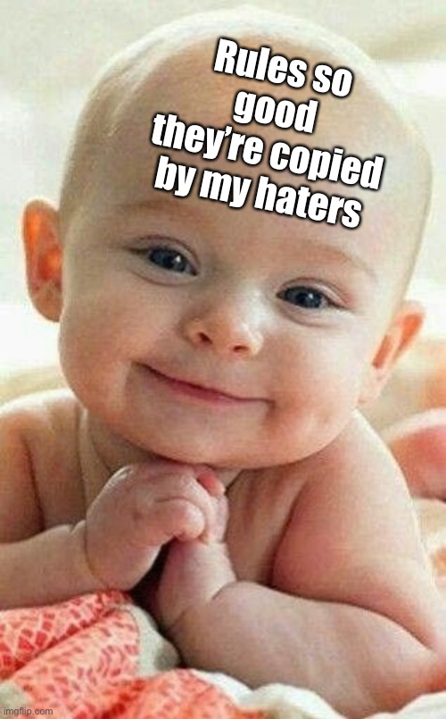 Awwww! | Rules so good they’re copied by my haters | image tagged in awwww | made w/ Imgflip meme maker