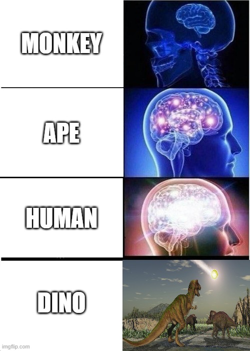 Who needs brains when you have pure strength? | MONKEY; APE; HUMAN; DINO | image tagged in memes,expanding brain,animals | made w/ Imgflip meme maker