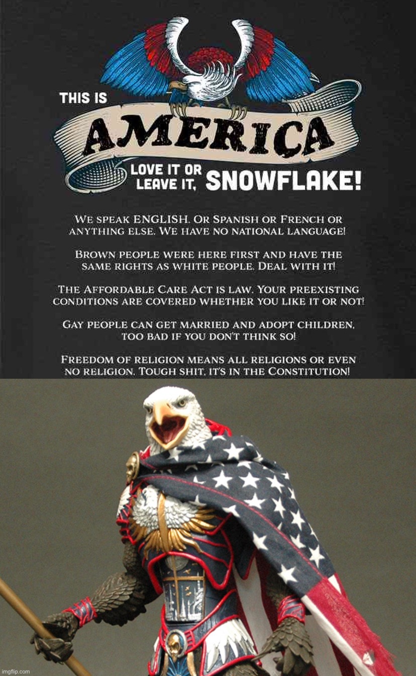 MURICA | image tagged in america love it or leave it snowflake,patriotic defender eagle of america | made w/ Imgflip meme maker