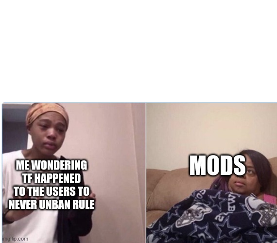 me with msmg | ME WONDERING TF HAPPENED TO THE USERS TO NEVER UNBAN RULE; MODS | image tagged in girl crying to her mum,what happened,oh wow are you actually reading these tags,stop reading the tags | made w/ Imgflip meme maker
