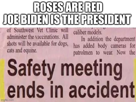 what kind? | ROSES ARE RED
JOE BIDEN IS THE PRESIDENT | image tagged in wierd | made w/ Imgflip meme maker