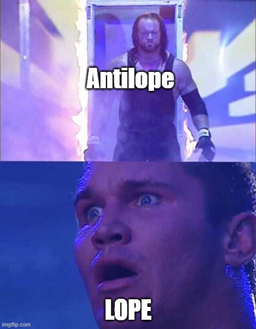 lope | Antilope; LOPE | image tagged in randy orton undertaker | made w/ Imgflip meme maker