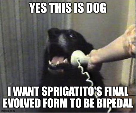 Yes this is dog | YES THIS IS DOG; I WANT SPRIGATITO'S FINAL EVOLVED FORM TO BE BIPEDAL | image tagged in yes this is dog | made w/ Imgflip meme maker