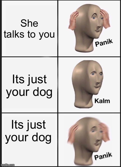 Panik Kalm Panik | She talks to you; Its just your dog; Its just your dog | image tagged in memes,panik kalm panik | made w/ Imgflip meme maker