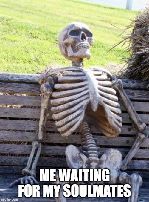 Waiting Skeleton | ME WAITING FOR MY SOULMATES | image tagged in memes,waiting skeleton | made w/ Imgflip meme maker