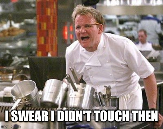 Gordon Ramsey meme | I SWEAR I DIDN'T TOUCH THEN | image tagged in gordon ramsey meme | made w/ Imgflip meme maker