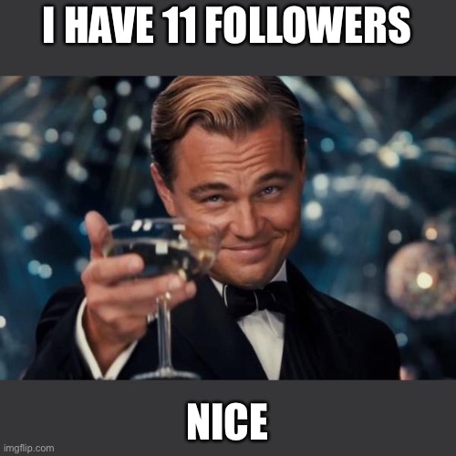Imgflip followers | I HAVE 11 FOLLOWERS; NICE | image tagged in memes,leonardo dicaprio cheers,followers | made w/ Imgflip meme maker