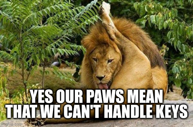 lion licking balls | YES OUR PAWS MEAN THAT WE CAN'T HANDLE KEYS | image tagged in lion licking balls | made w/ Imgflip meme maker