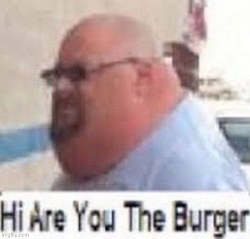 Hi are you the burger | image tagged in hi are you the burger | made w/ Imgflip meme maker