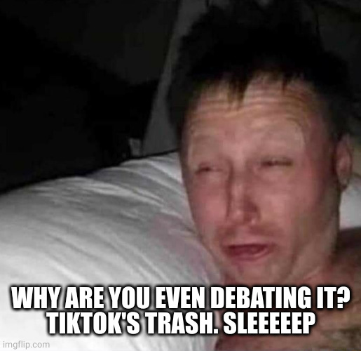 Sleepy guy | WHY ARE YOU EVEN DEBATING IT?
TIKTOK'S TRASH. SLEEEEEP | image tagged in sleepy guy | made w/ Imgflip meme maker