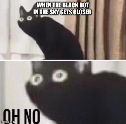 WW3 | WHEN THE BLACK DOT IN THE SKY GETS CLOSER | image tagged in oh no cat | made w/ Imgflip meme maker