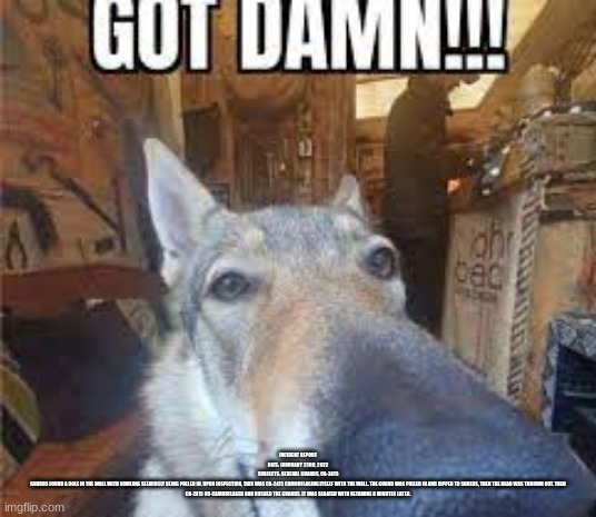 GOT DAMN!!! | INCIDENT REPORT
DATE: JANURARY 23RD, 2022
SUBJECTS: SEVERAL GUARDS, CA-2415
GUARDS FOUND A HOLE IN THE WALL WITH SOMEONE SEEMINGLY BEING PULLED IN. UPON INSPECTION, THIS WAS CA-2415 CAMOUFLAGING ITSELF WITH THE WALL. THE GUARD WAS PULLED IN AND RIPPED TO SHREDS, THEN THE HEAD WAS THROWN OUT. THEN CA-2415 UN-CAMOUFLAGED AND RUSHED THE GUARDS. IT WAS SEDATED WITH KETAMINE 6 MINUTES LATER. | image tagged in got damn | made w/ Imgflip meme maker
