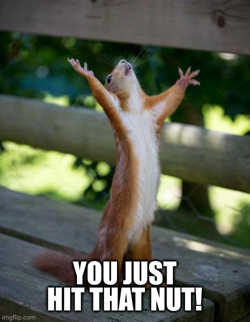 Happy Squirrel | YOU JUST HIT THAT NUT! | image tagged in happy squirrel | made w/ Imgflip meme maker