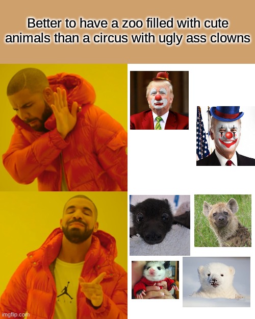 Drake Hotline Bling Meme | Better to have a zoo filled with cute animals than a circus with ugly ass clowns | image tagged in memes,drake hotline bling | made w/ Imgflip meme maker