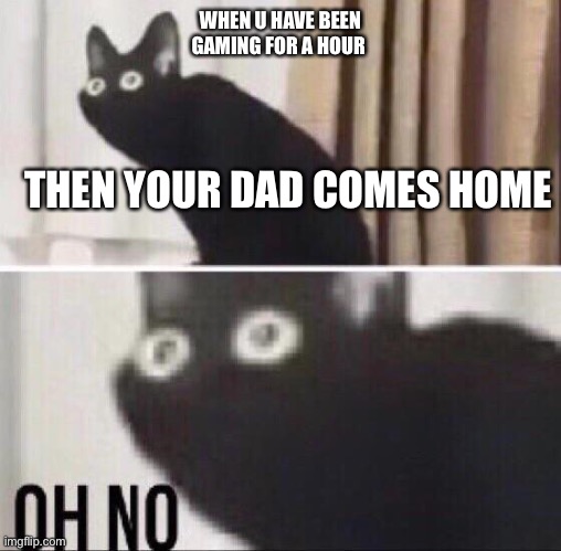 Oh no cat | WHEN U HAVE BEEN GAMING FOR A HOUR; THEN YOUR DAD COMES HOME | image tagged in oh no cat | made w/ Imgflip meme maker