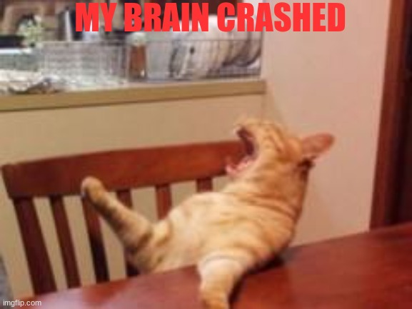 screaming cat | MY BRAIN CRASHED | image tagged in screaming cat | made w/ Imgflip meme maker