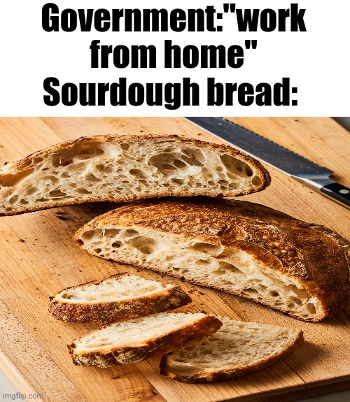 sourdough bread | Government:"work from home"; Sourdough bread: | image tagged in memes,blank transparent square | made w/ Imgflip meme maker