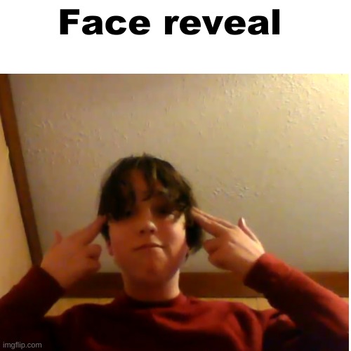 Face reveal | image tagged in oh wow are you actually reading these tags | made w/ Imgflip meme maker