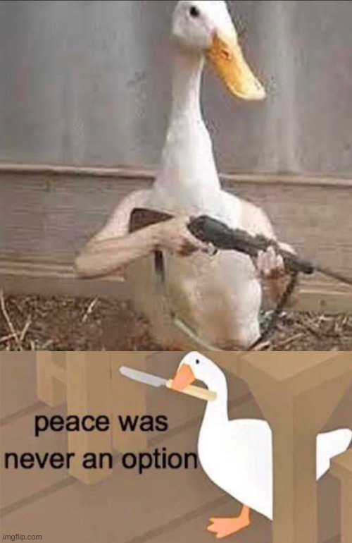 real life untitled goose game | image tagged in untitled goose peace was never an option,cursed image | made w/ Imgflip meme maker