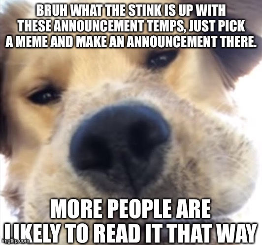 Doggo bruh | BRUH WHAT THE STINK IS UP WITH THESE ANNOUNCEMENT TEMPS, JUST PICK A MEME AND MAKE AN ANNOUNCEMENT THERE. MORE PEOPLE ARE LIKELY TO READ IT THAT WAY | image tagged in doggo bruh | made w/ Imgflip meme maker