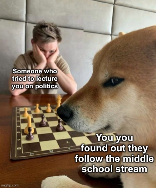 No matter what spectrum it is, it’s laughable | Someone who tried to lecture you on politics; You you found out they follow the middle school stream | image tagged in chess doge | made w/ Imgflip meme maker