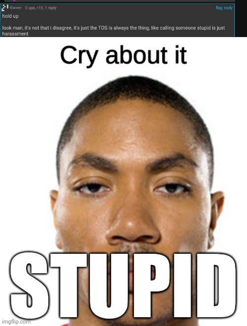 STUPID | image tagged in cry about it | made w/ Imgflip meme maker
