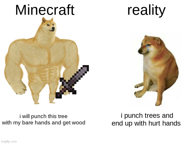 so weird | Minecraft; reality; i will punch this tree with my bare hands and get wood; i punch trees and end up with hurt hands | image tagged in memes,buff doge vs cheems,minecraft,reality | made w/ Imgflip meme maker