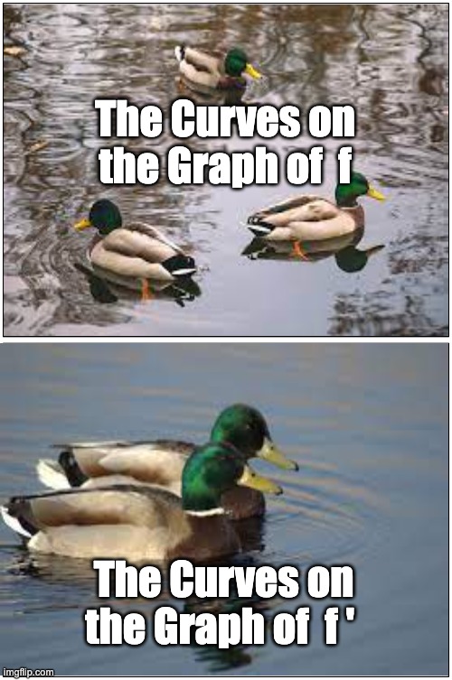 double blank | The Curves on the Graph of  f; The Curves on the Graph of  f ' | image tagged in double blank | made w/ Imgflip meme maker