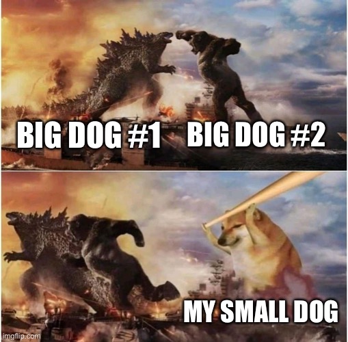 My brave little dog |  BIG DOG #1; BIG DOG #2; MY SMALL DOG | image tagged in kong godzilla doge | made w/ Imgflip meme maker