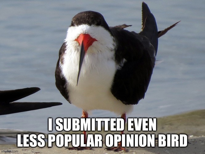 Even Less Popular Opinion Bird | I SUBMITTED EVEN LESS POPULAR OPINION BIRD | image tagged in even less popular opinion bird | made w/ Imgflip meme maker