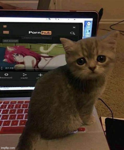 Bad Pussy | made w/ Imgflip meme maker