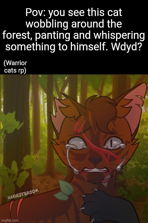 Warrior cats rp | Pov: you see this cat wobbling around the forest, panting and whispering something to himself. Wdyd? (Warrior cats rp) | image tagged in oakstream | made w/ Imgflip meme maker