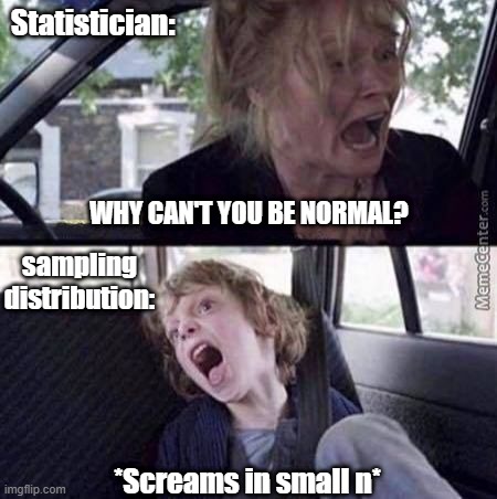 sampling distribution | Statistician:; WHY CAN'T YOU BE NORMAL? sampling distribution:; *Screams in small n* | image tagged in why can't you just be normal blank | made w/ Imgflip meme maker